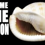 article image -